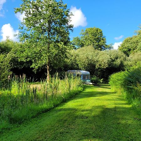 Budget Stay, In Lovely Private Setting With Rustic Charm, Log Burner, Fire Pit, Campers Kitchen & Eco Loo No Bedding Supplied Narberth Eksteriør bilde