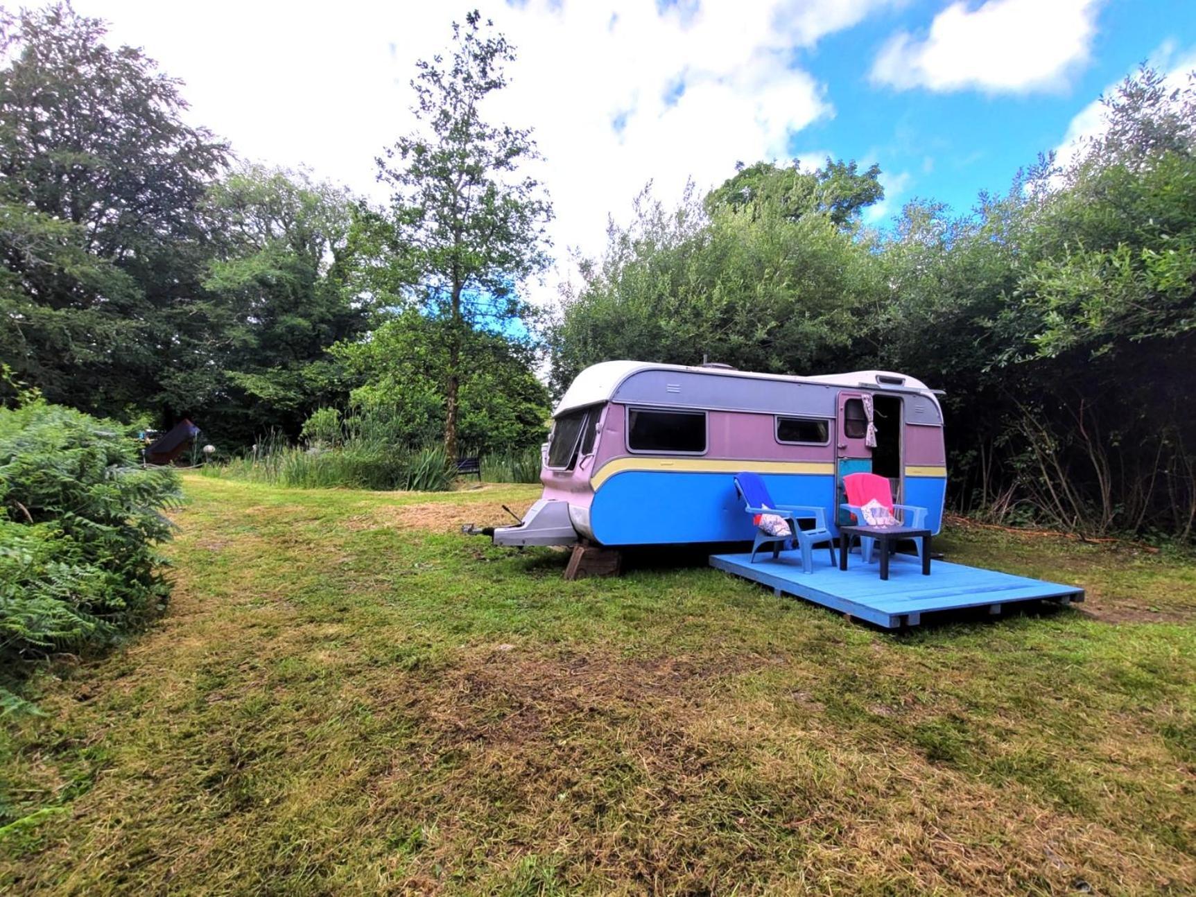 Budget Stay, In Lovely Private Setting With Rustic Charm, Log Burner, Fire Pit, Campers Kitchen & Eco Loo No Bedding Supplied Narberth Eksteriør bilde