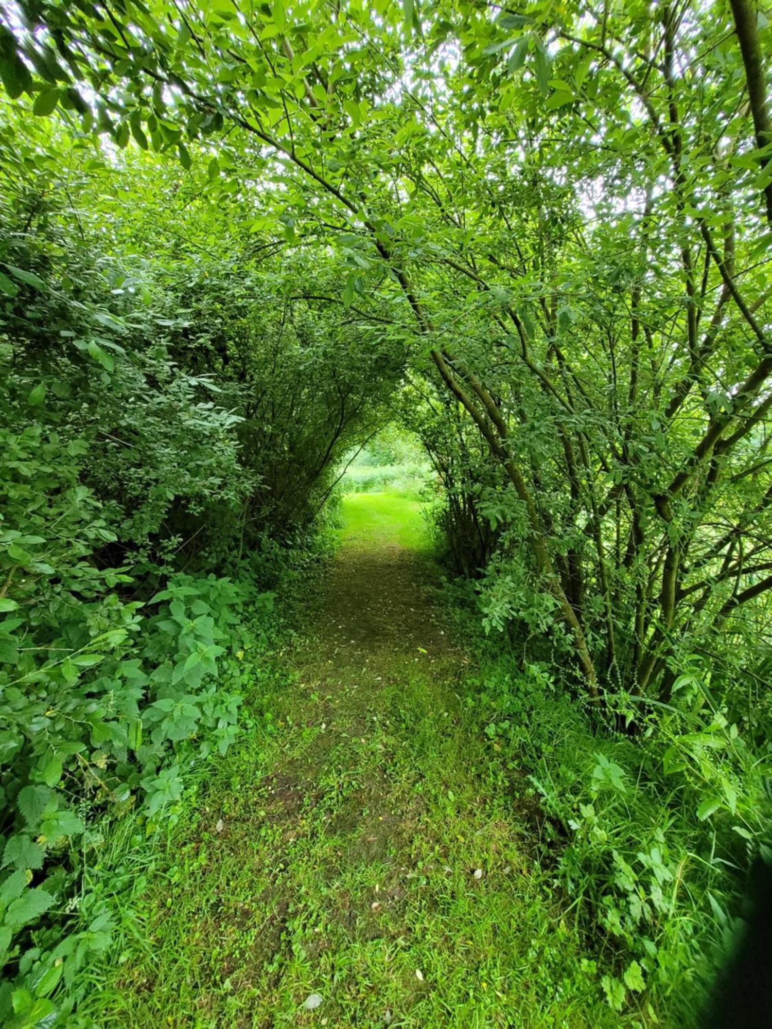 Budget Stay, In Lovely Private Setting With Rustic Charm, Log Burner, Fire Pit, Campers Kitchen & Eco Loo No Bedding Supplied Narberth Eksteriør bilde