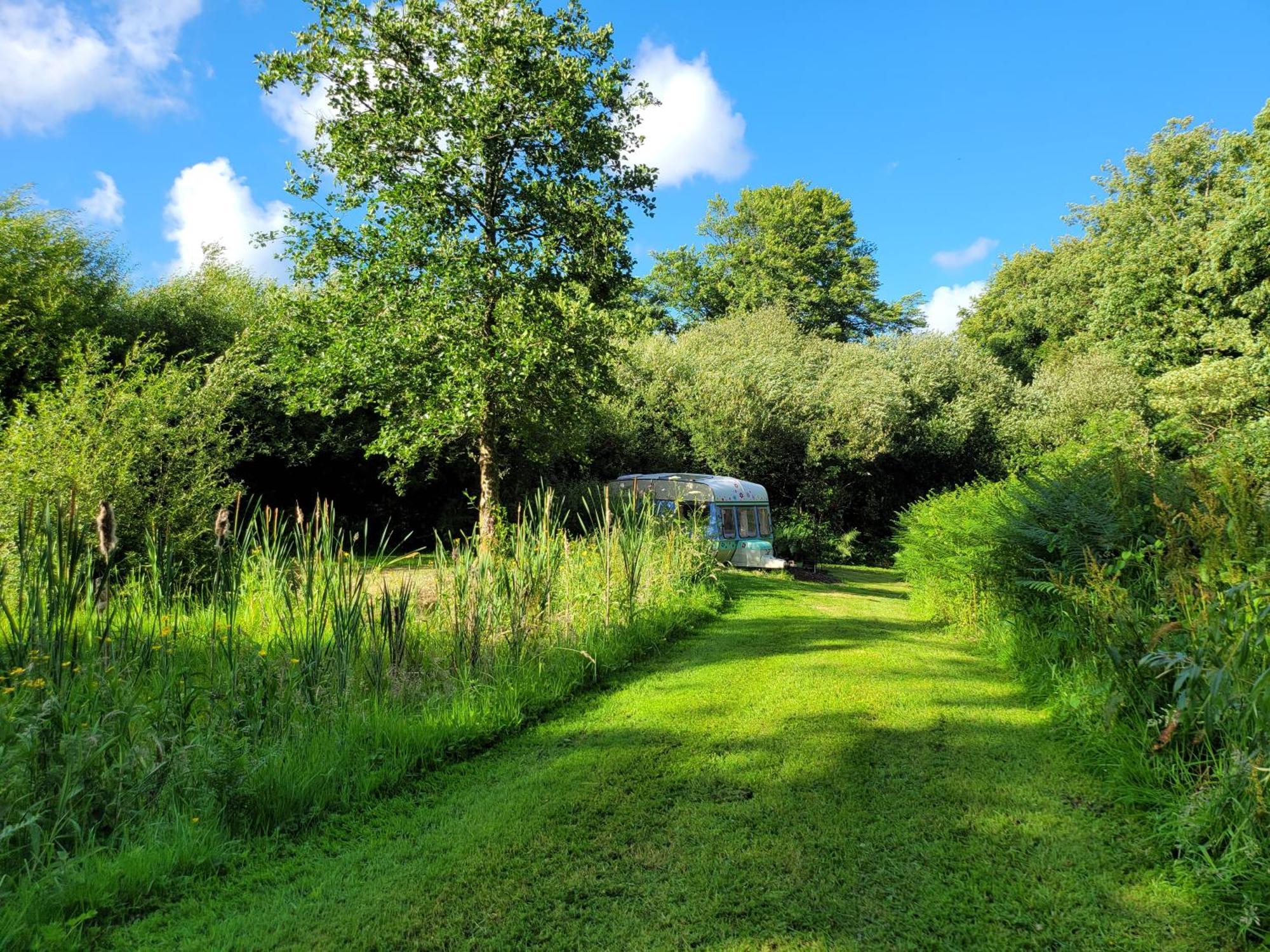 Budget Stay, In Lovely Private Setting With Rustic Charm, Log Burner, Fire Pit, Campers Kitchen & Eco Loo No Bedding Supplied Narberth Eksteriør bilde